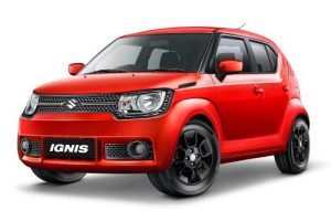 ignis-300x200